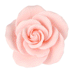 Image of O'Creme Pink Garden Rose Gumpaste Flowers, 2"