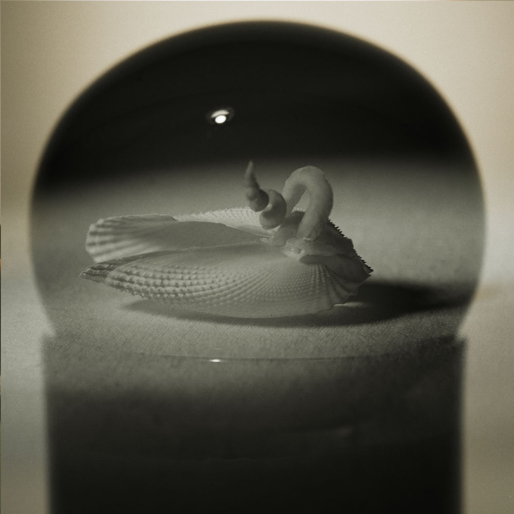 shadow