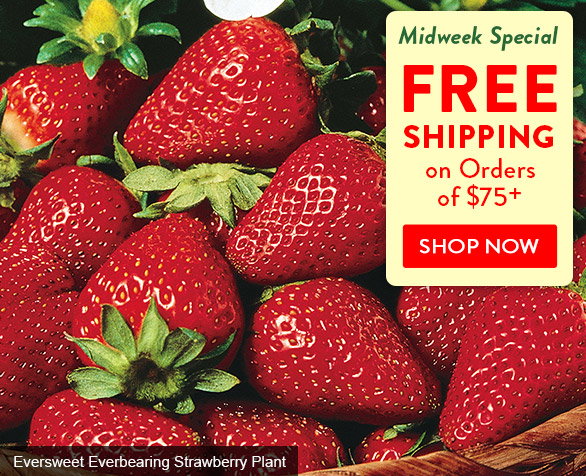  Save on Shipping