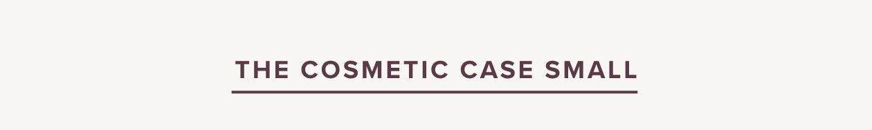 The Cosmetic Case Small