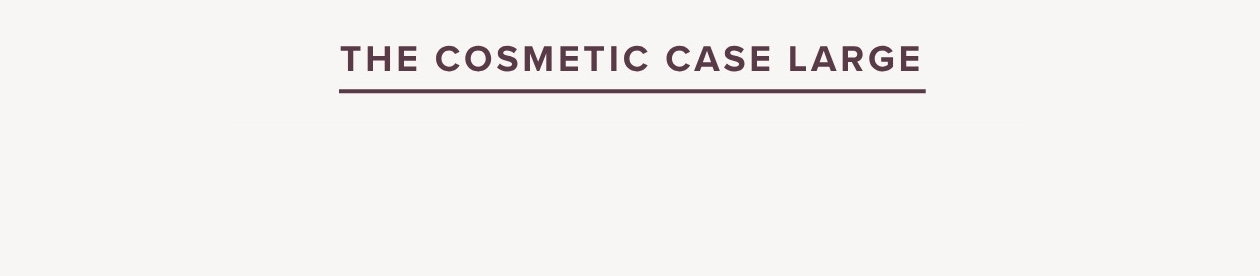 The Cosmetic Case Large