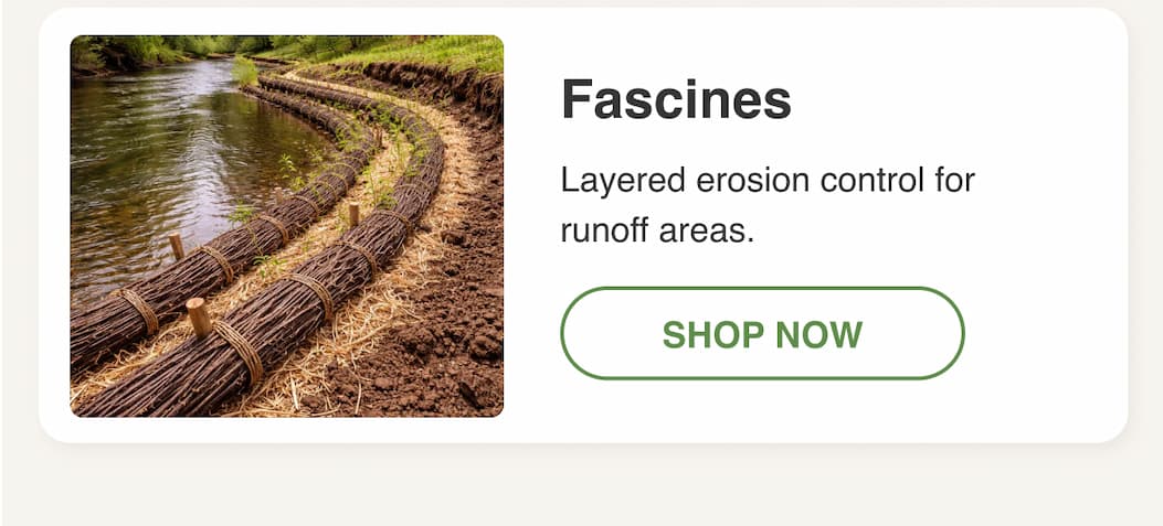 Fascines
