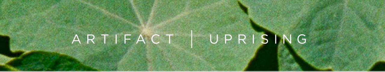 Artifact Uprising 