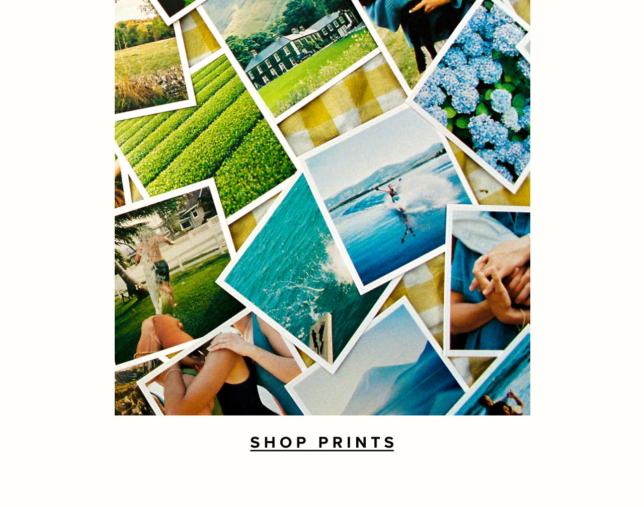 Shop prints