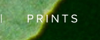 PRINTS