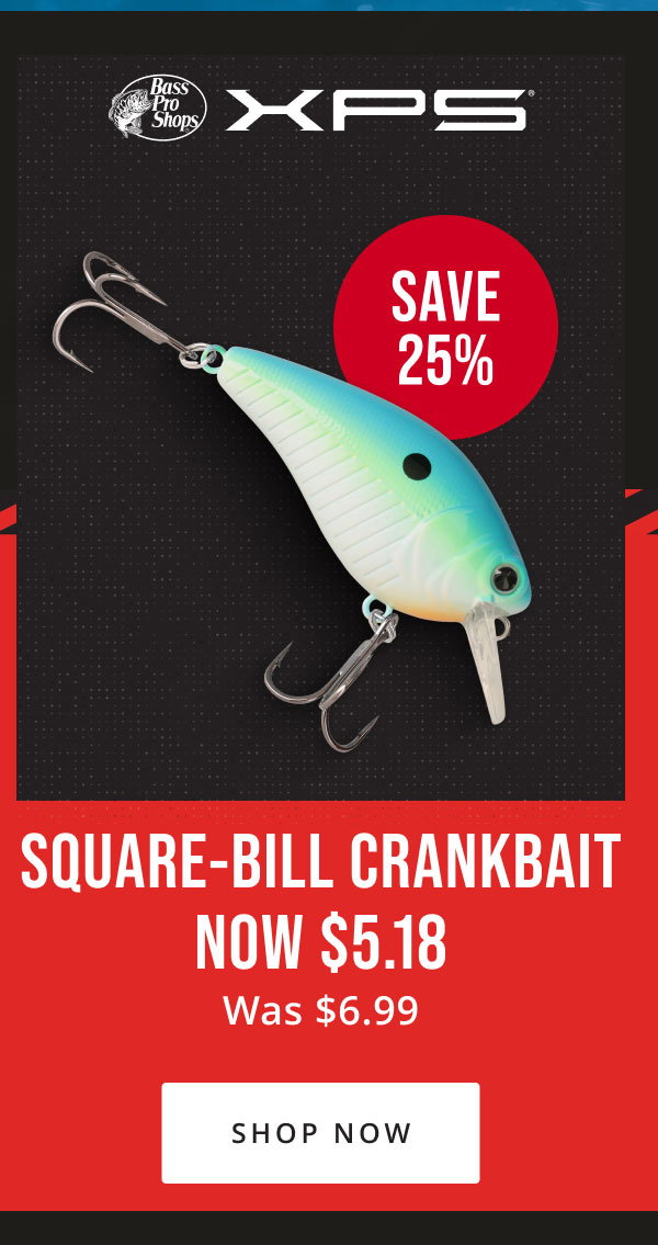 Summer Angler 
