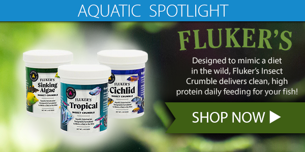 New Fluker's Insect Crumble Diet for Your fish | Shop now! 