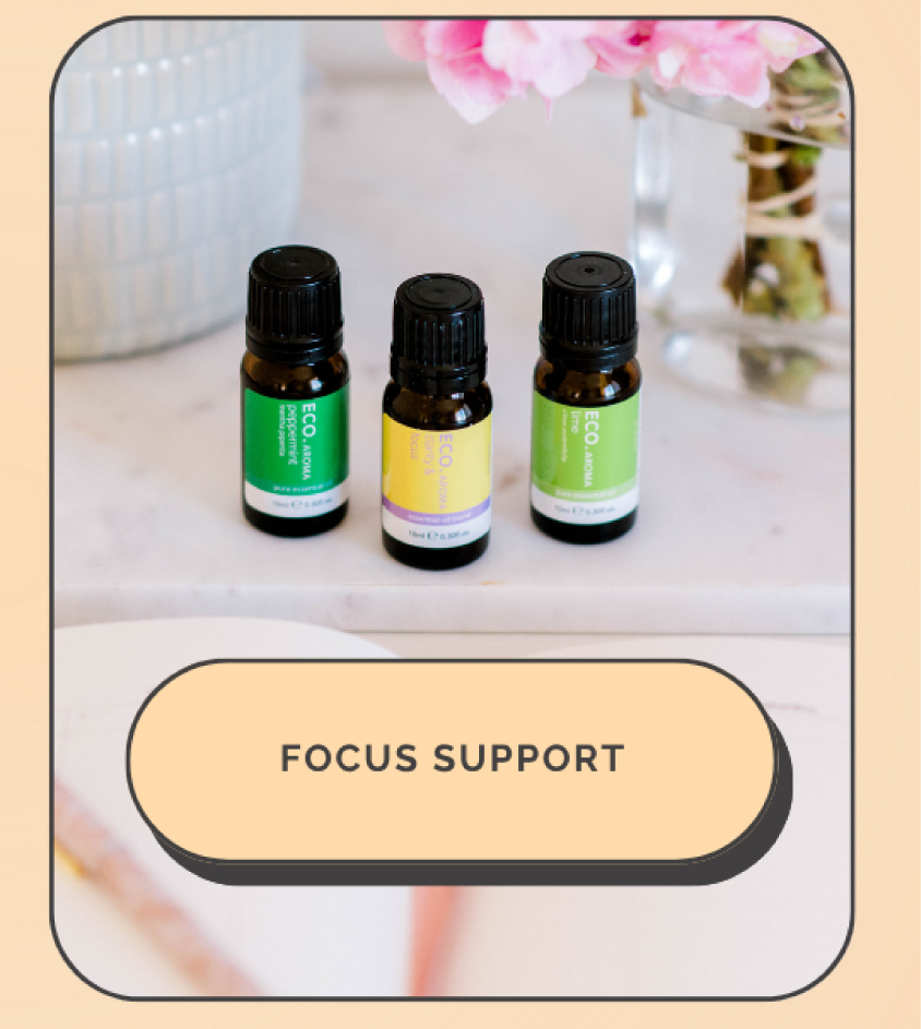Focus Support