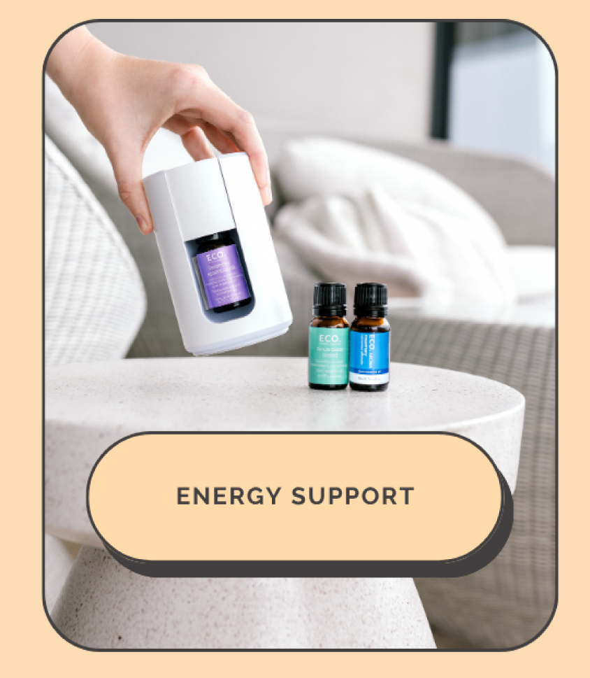 Energy Support