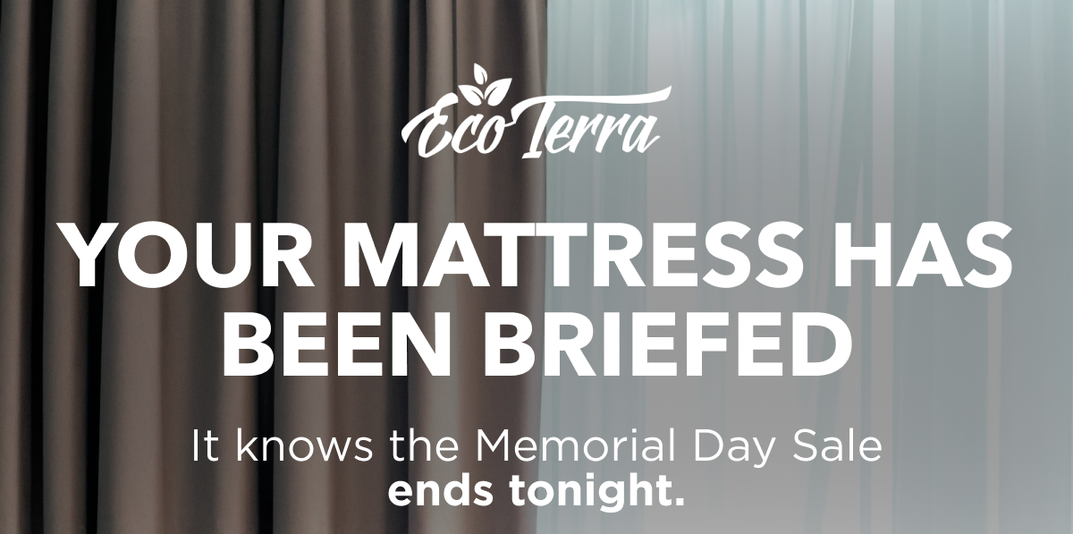 YOUR MATTRESS HAS BEEN BRIEFED 