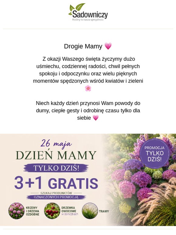 Dzień Mamy – tylko dziś 3+1 GRATIS 🌼🌸