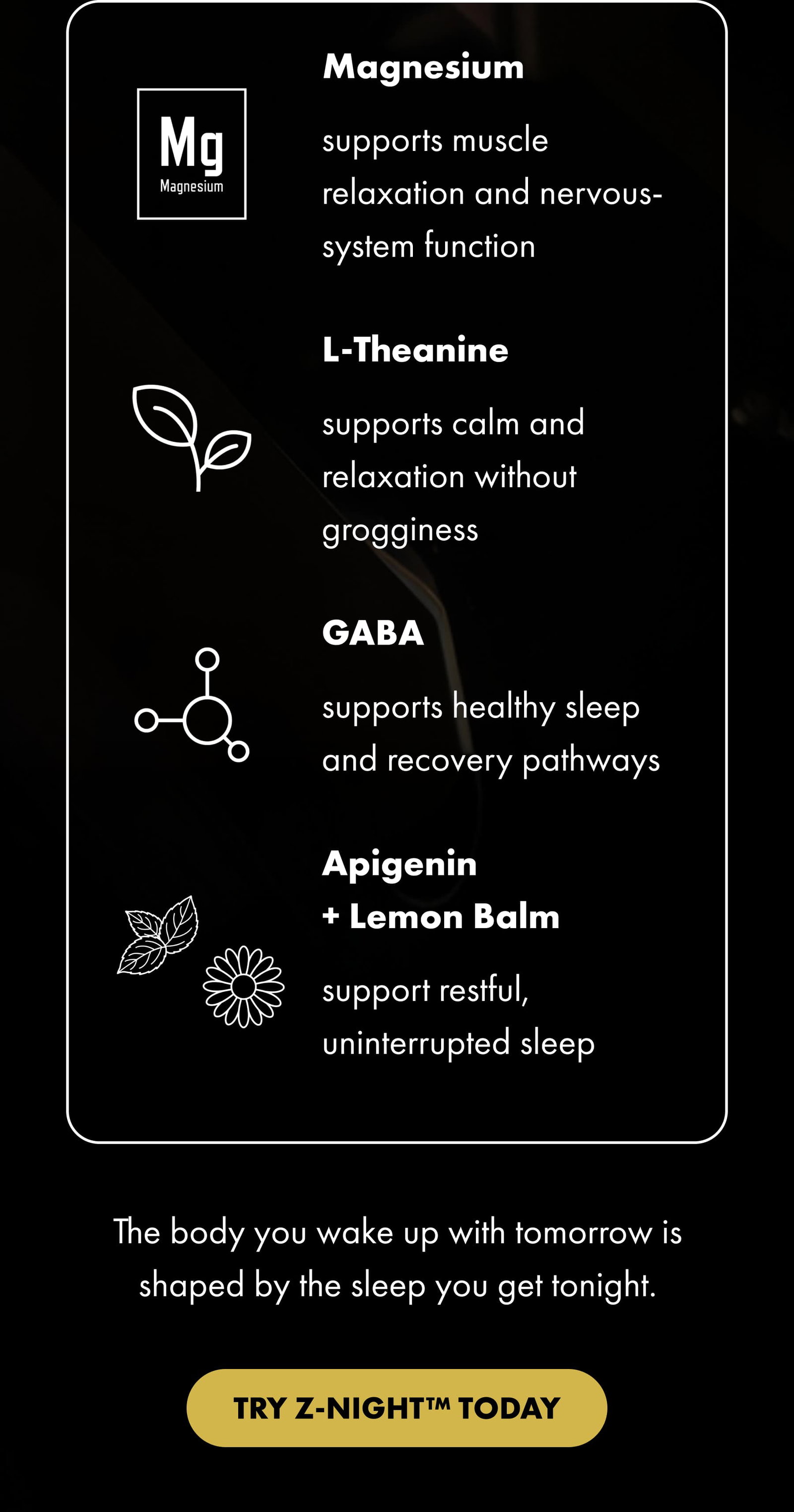 Magnesium supports muscle relaxation and nervous-system function L-Theanine supports calm and relaxation without grogginess GABA supports healthy sleep and recovery pathways Apigenin + Lemon Balm support restful, uninterrupted sleep | The body you wake up with tomorrow is shaped by the sleep you get tonight. TRY Z-NIGHT™ TODAY
