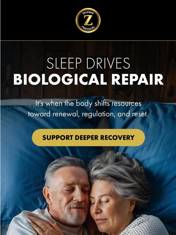 What Happens While You Sleep?