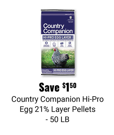 Save $1.50 Country Companion Hi-Pro Egg 21% Layer Pellets 50 LB