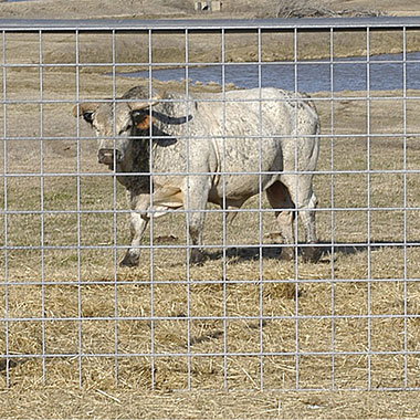 Fencing