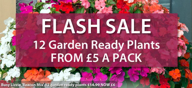 Garden Ready Mix & Match