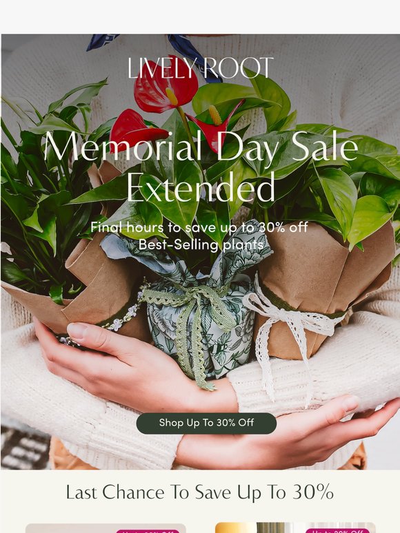 Extended - but not for long. Up to 30% off ends soon. 🌿
