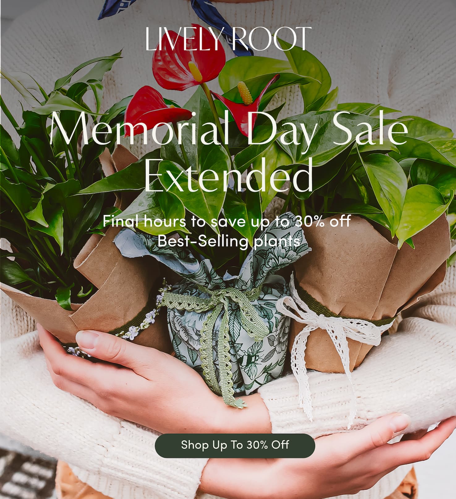 shop the sale