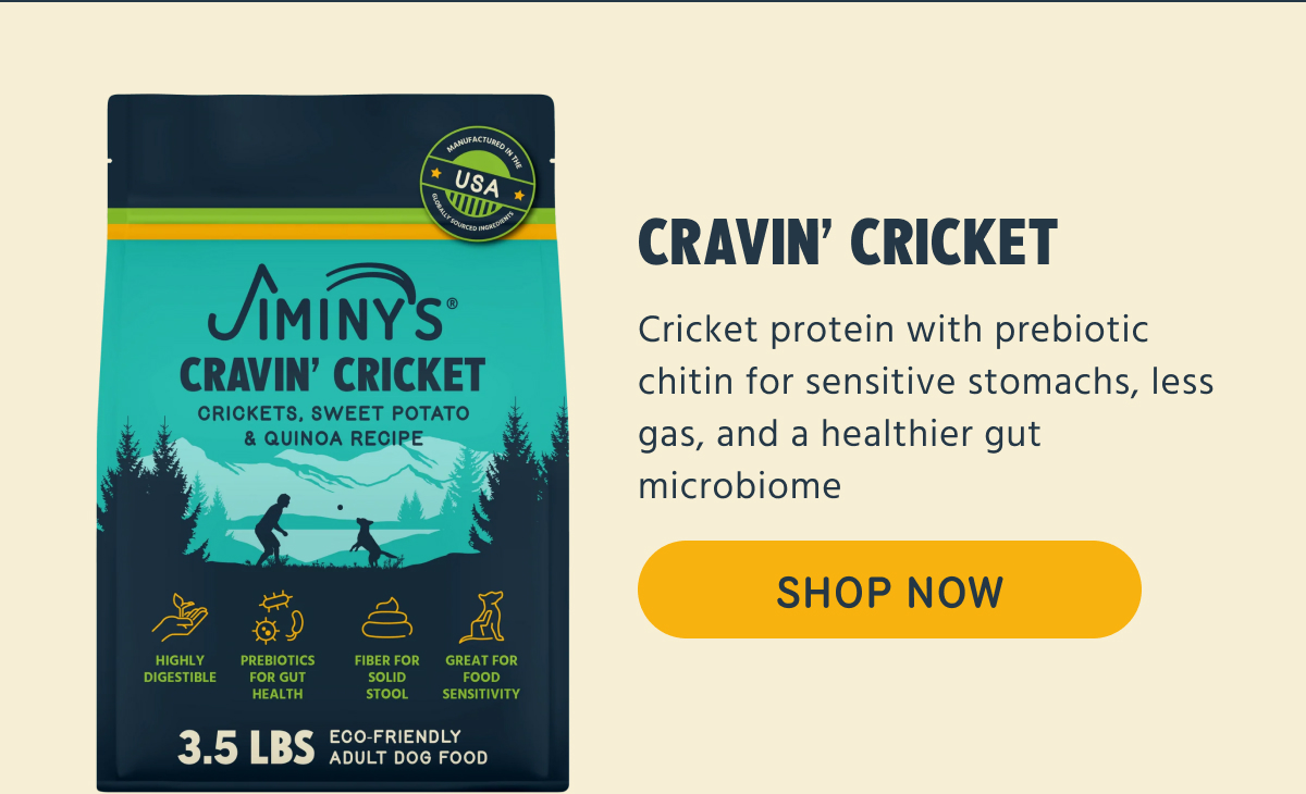 CRAVIN' CRICKET   Cricket protein with prebiotic chitin for sensitive stomachs, less gas, and a healthier gut microbiome   -- SHOP NOW 