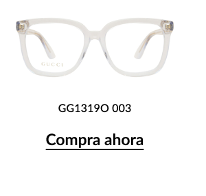GG13319O 003