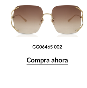 GG0646S 002