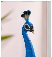 Pretty Peacock Head Wall Decor