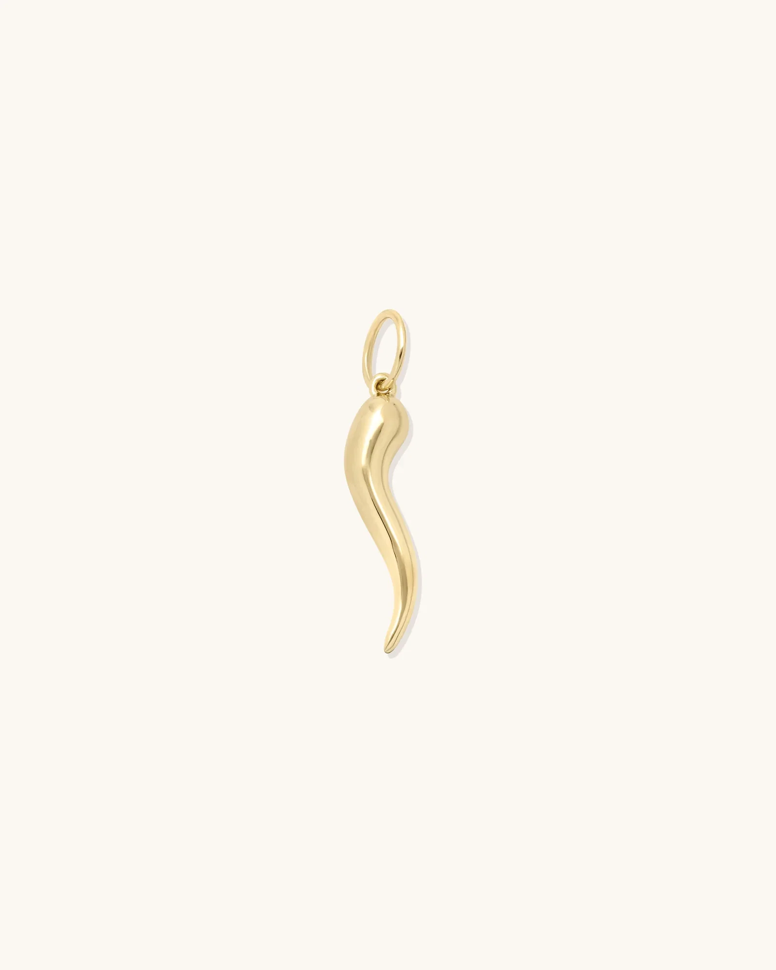 Image of Cornicello Pendant