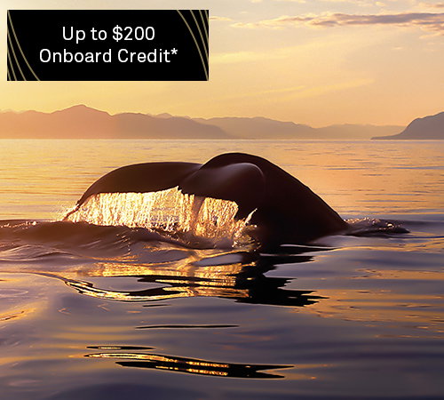 Up to $200 Onboard Credit*