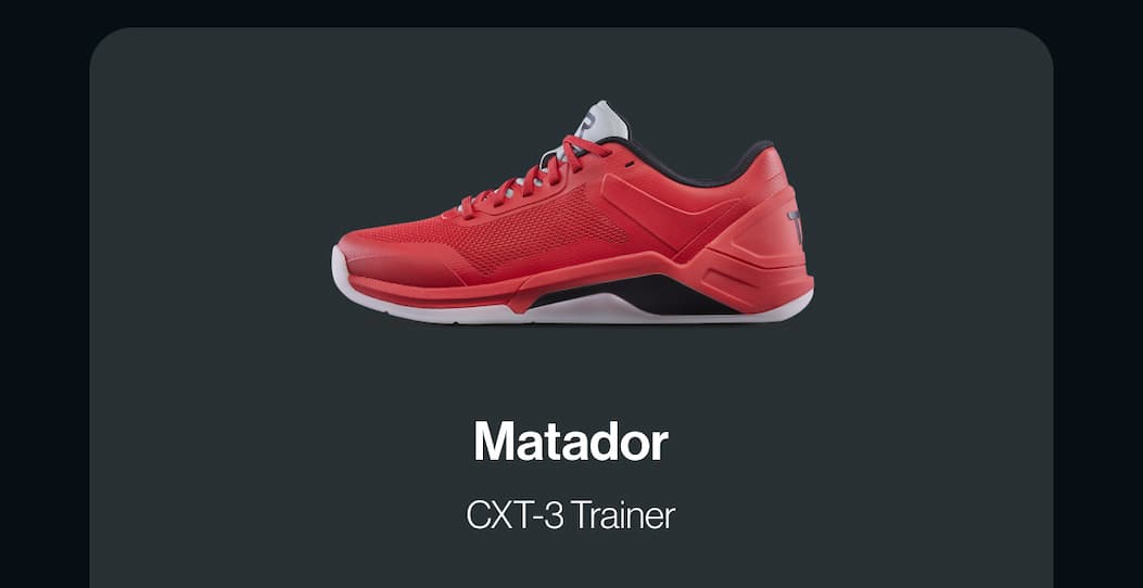 Maverick V1