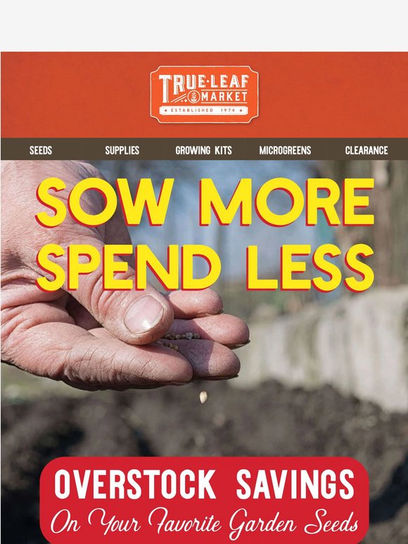 🌱 Sow & Save: Save on Direct Sow Seeds!