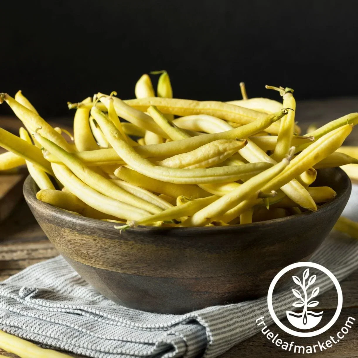Bean Seeds - Bush - Cherokee Black Wax