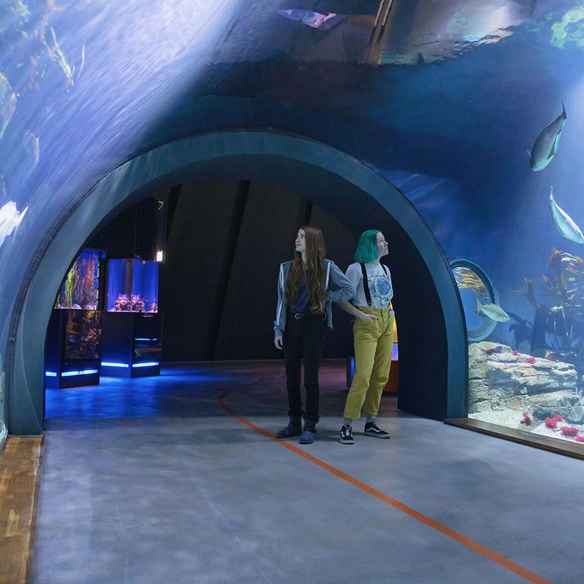 OZEANEUM, NATUREUM oder MEERESMUSEUM inkl. Übernachtung im Premium Hotel