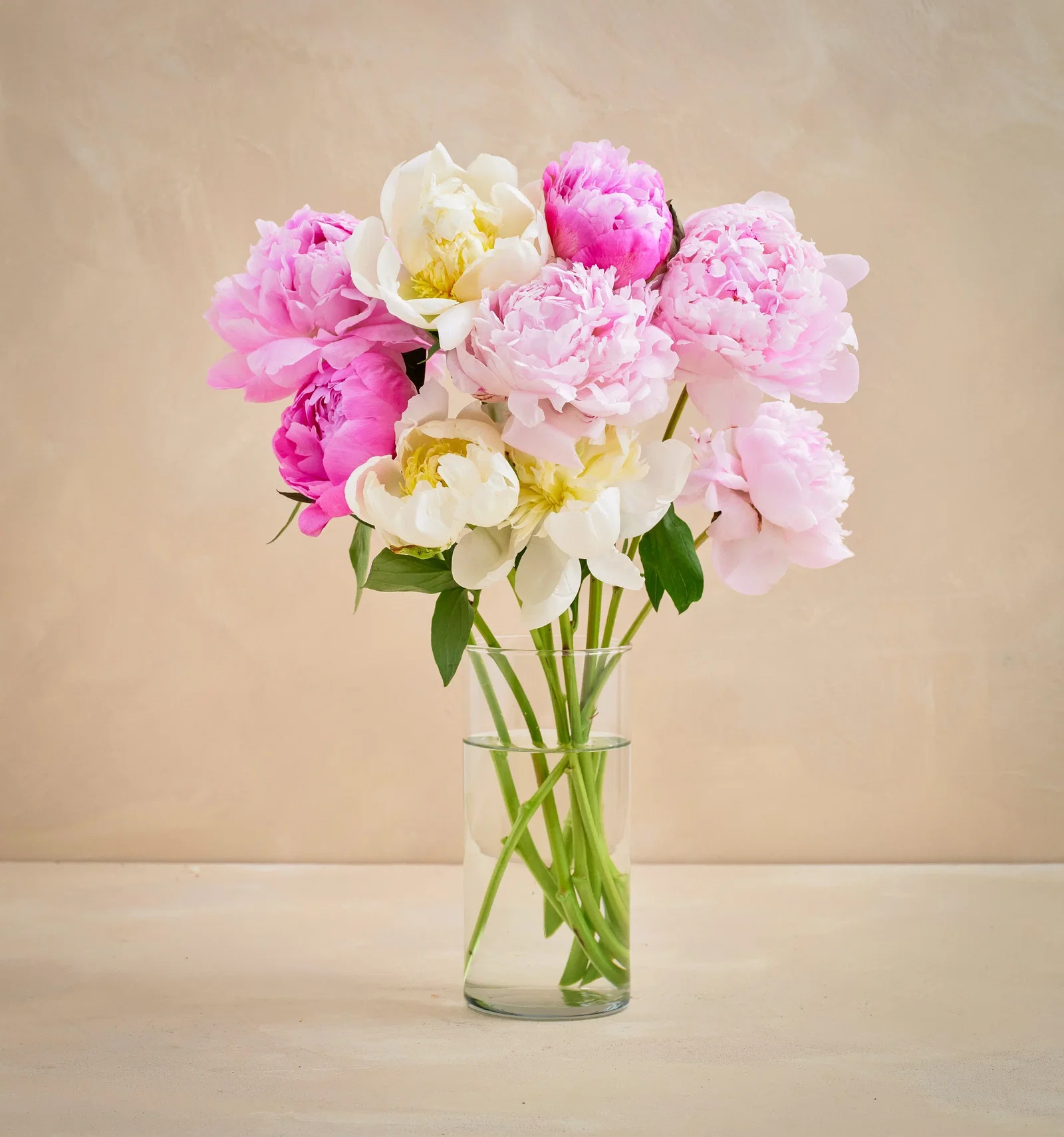 Image of The Grower's Choice Peony