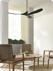 Visual Comfort Fan