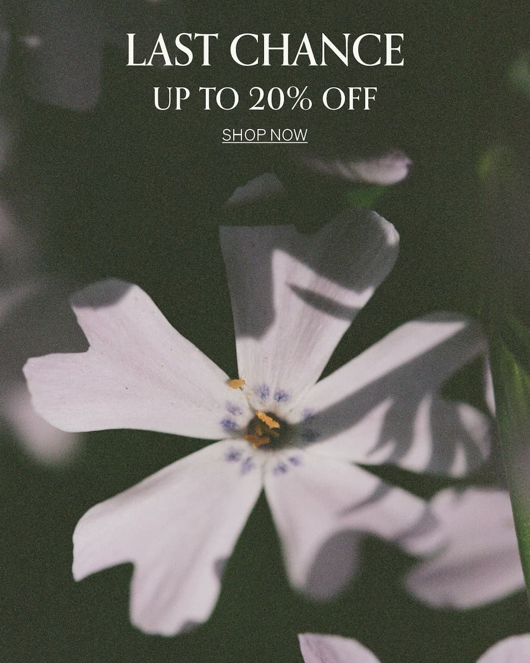Memorial Day Sale | [SHOP NOW]