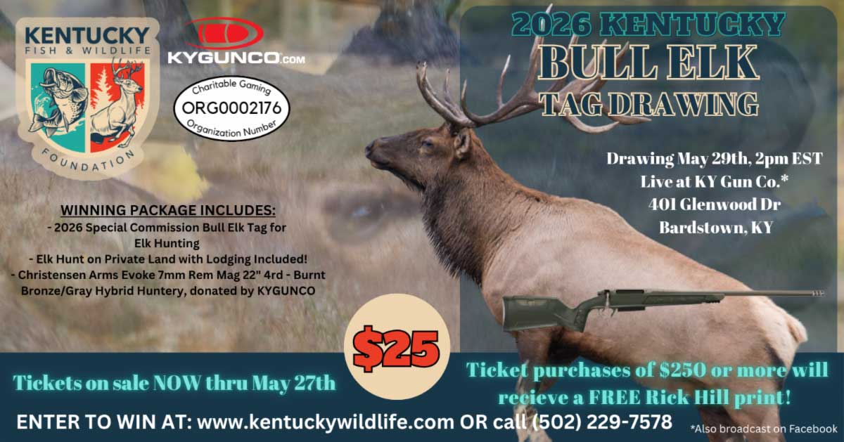 Promo Banner