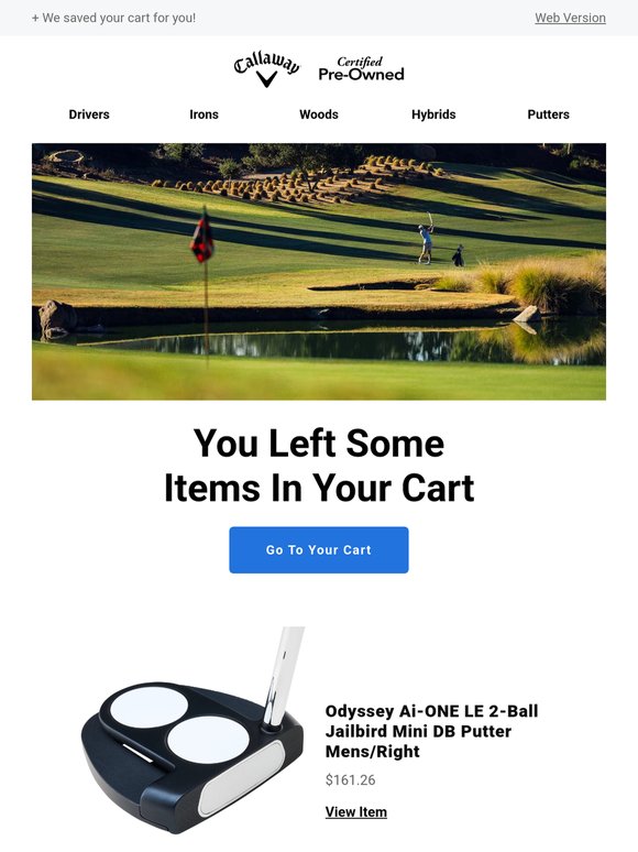 We Saved Your Cart For Your Convenience!