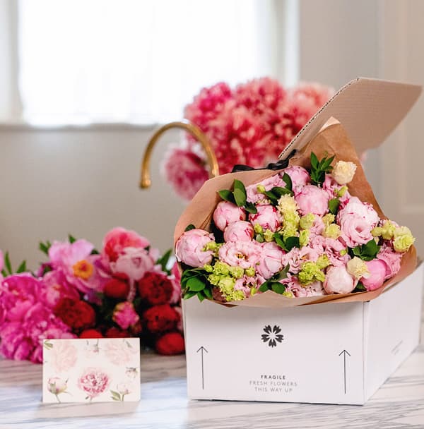 The Peony Edit