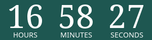 Timer