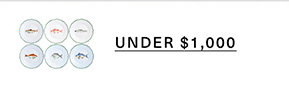 Under $1,000