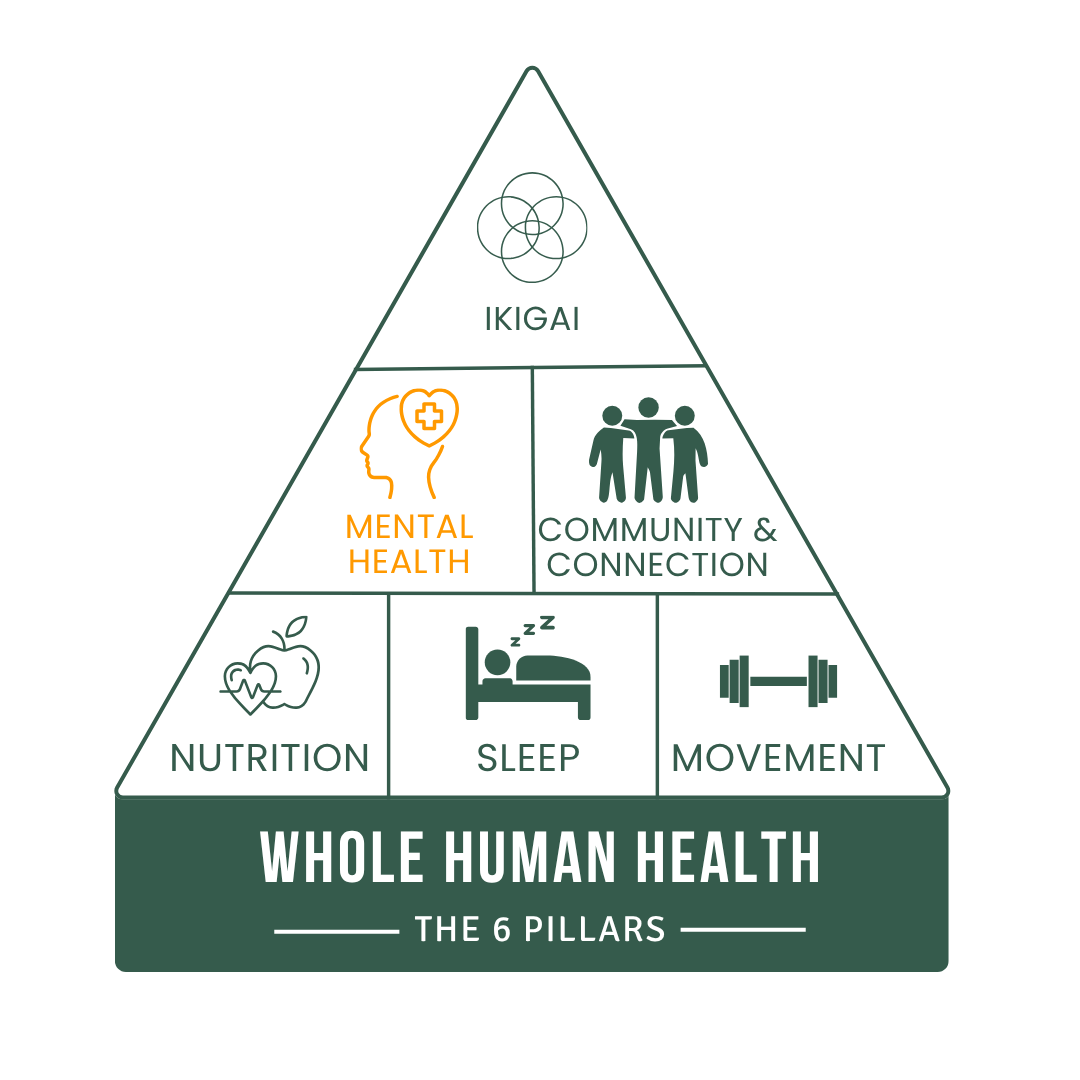 Pillars of Whole Human Health 