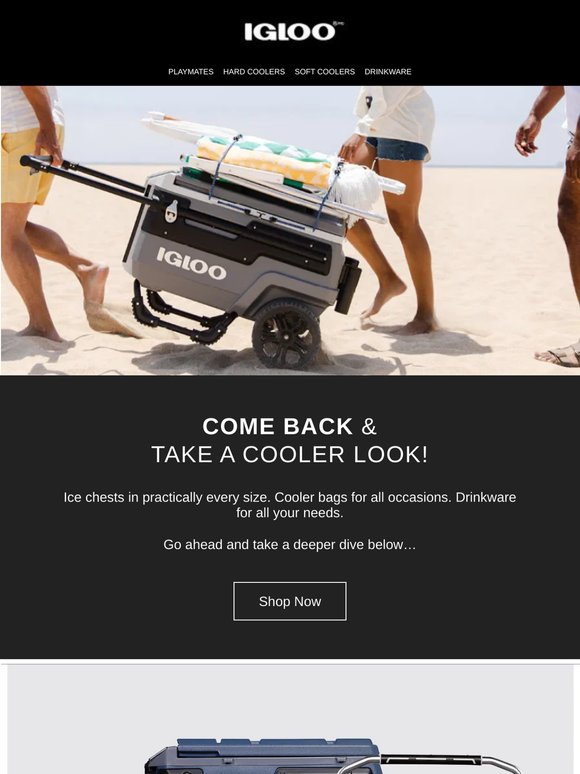 You could make the coolest comeback ever.😎