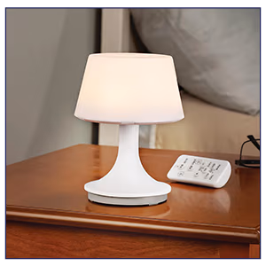 Table Night Light Lamp with Remote