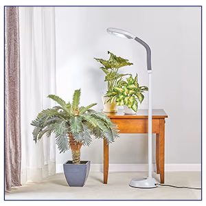 Daylight Floor Lamp