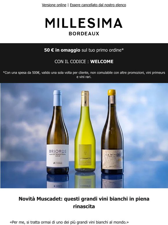 Novità Muscadet: questi grandi vini bianchi in piena rinascita