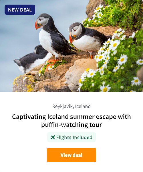 Captivating Iceland summer escape with puffin-watching tour