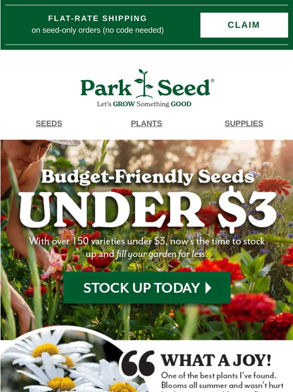 Seeds Under $3? Yes Please 🌱
