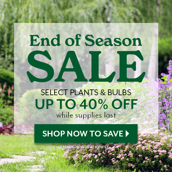 End of Season Sale - select plants and bulbs up to 40% OFF while supplies last=SHOP NOW TO SAVE