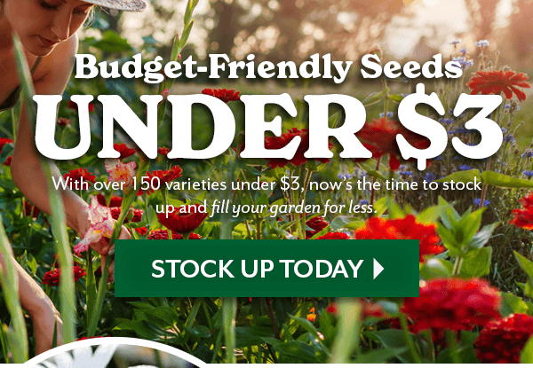 Budget Friendly Seeds Under $3