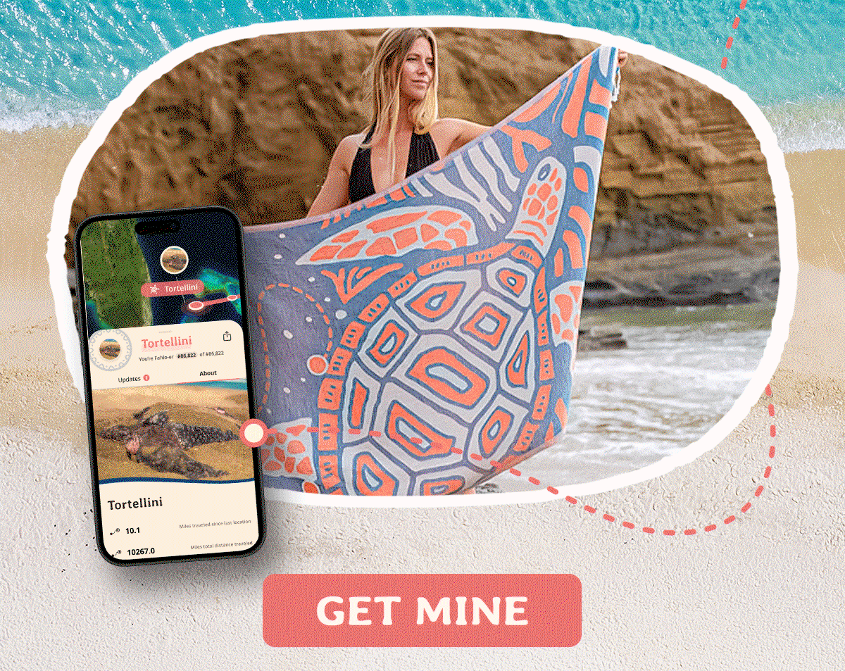 3 brand new styles inspired by Fahlo. These are the first ever animal tracking beach towels!